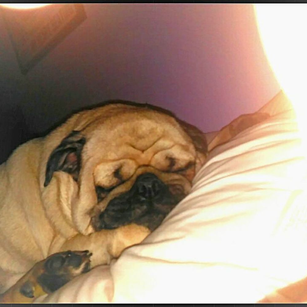 Meet your Posher, Mikayla